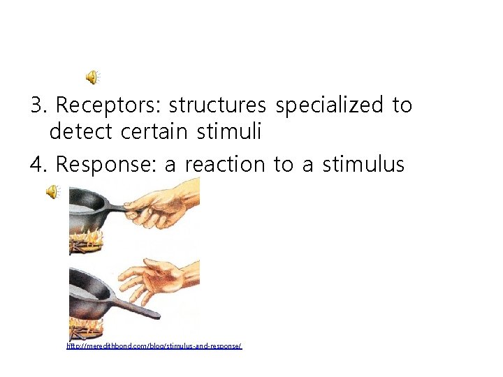 3. Receptors: structures specialized to detect certain stimuli 4. Response: a reaction to a