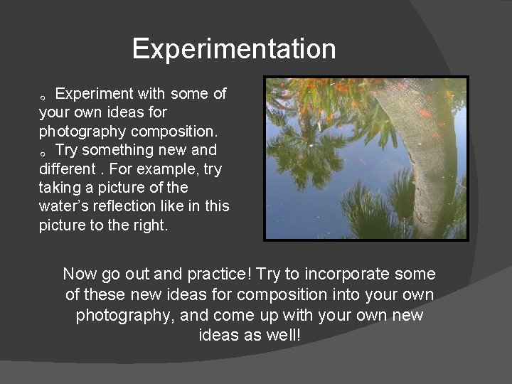 Experimentation 。Experiment with some of your own ideas for photography composition. 。Try something new Experimentation 。Experiment with some of your own ideas for photography composition. 。Try something new