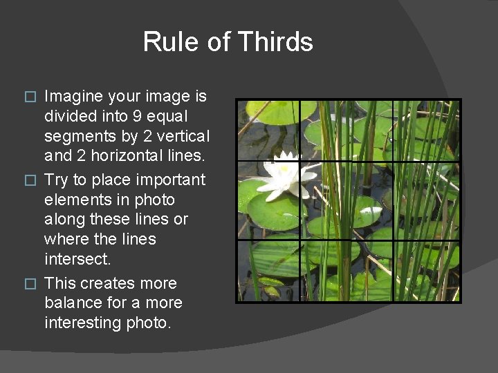 Rule of Thirds Imagine your image is divided into 9 equal segments by 2 Rule of Thirds Imagine your image is divided into 9 equal segments by 2