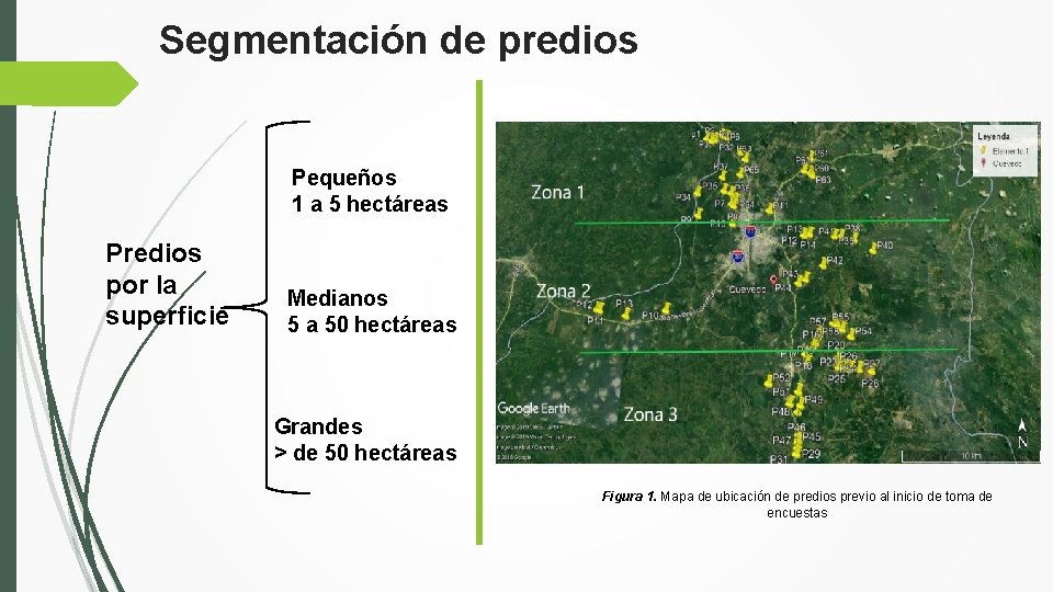 VICERRECTORADO DE INVESTIGACIN INNOVACIN Y TRANSFERENCIA DE TECNOLOGA