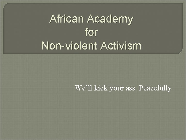 African Academy for Non-violent Activism We’ll kick your ass. Peacefully 