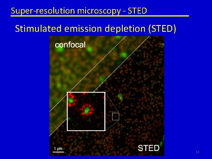 Super-resolution microscopy - STED Stimulated emission depletion (STED) 11 