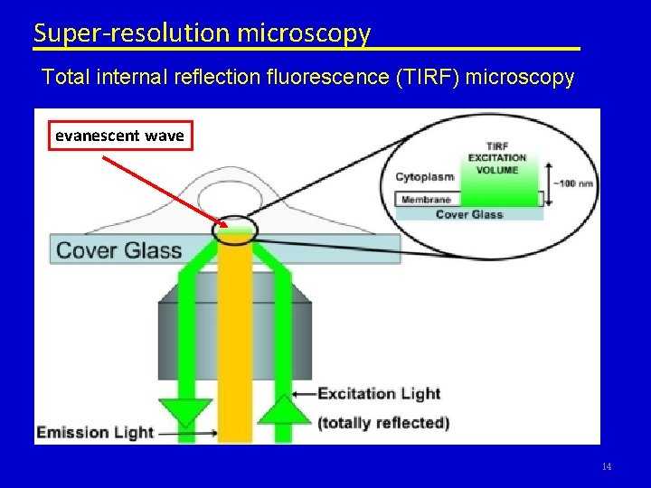 Super-resolution microscopy Total internal reflection fluorescence (TIRF) microscopy evanescent wave 14 
