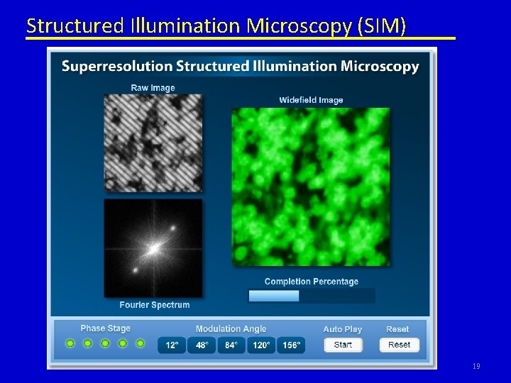 Structured Illumination Microscopy (SIM) 19 