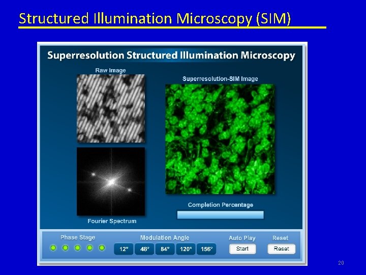Structured Illumination Microscopy (SIM) 20 