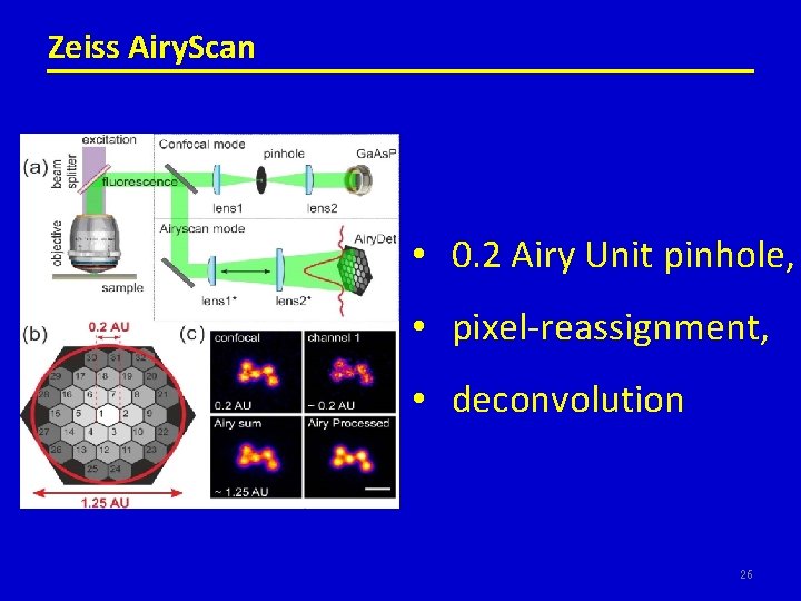 Zeiss Airy. Scan • 0. 2 Airy Unit pinhole, • pixel-reassignment, • deconvolution 26