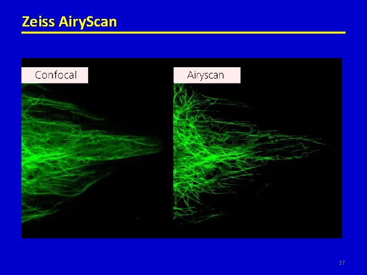 Zeiss Airy. Scan 27 