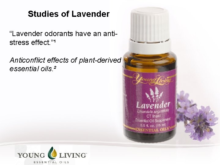 Studies of Lavender “Lavender odorants have an antistress effect. ”¹ Anticonflict effects of plant-derived