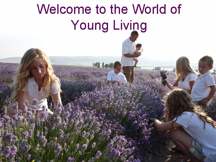 Welcome to the World of Young Living 