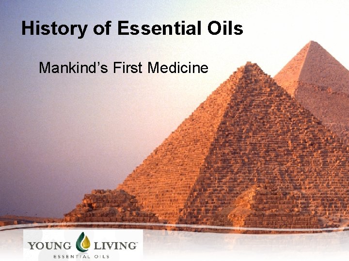 History of Essential Oils Mankind’s First Medicine 