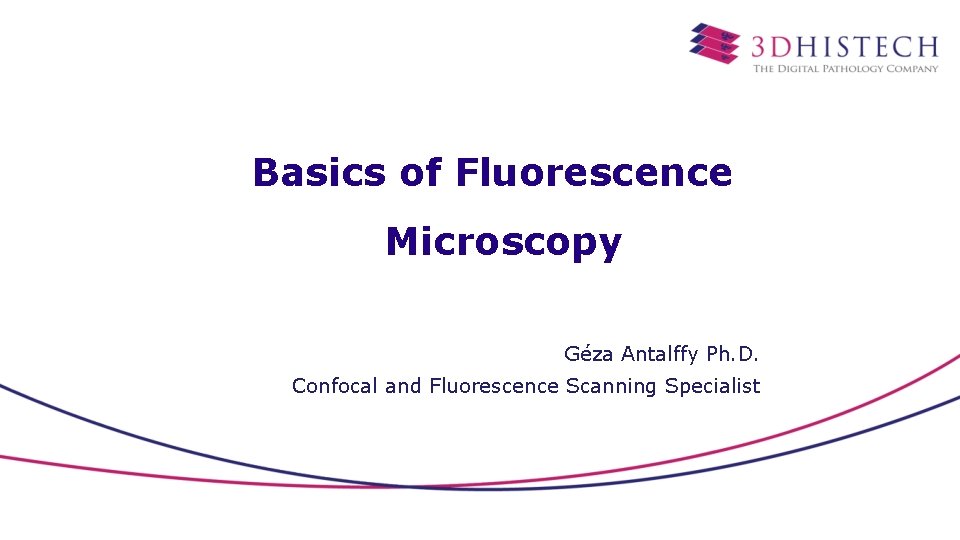 Basics of Fluorescence Microscopy Géza Antalffy Ph. D. Confocal and Fluorescence Scanning Specialist 