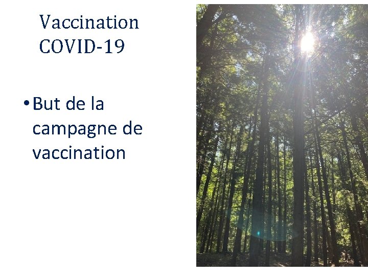 Vaccination COVID-19 • But de la campagne de vaccination 