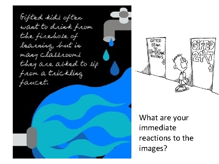 What are your immediate reactions to the images? 