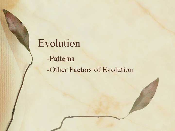 Evolution -Patterns -Other Factors of Evolution 