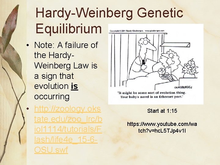 Hardy-Weinberg Genetic Equilibrium • Note: A failure of the Hardy. Weinberg Law is a