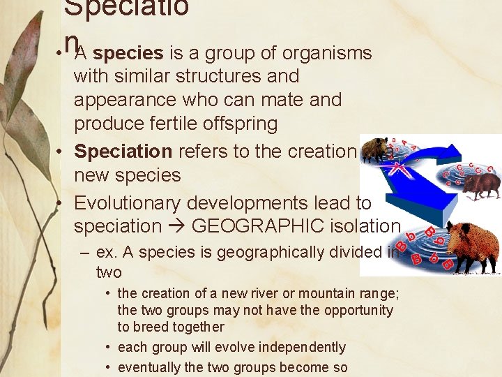 Speciatio • n. A species is a group of organisms with similar structures and