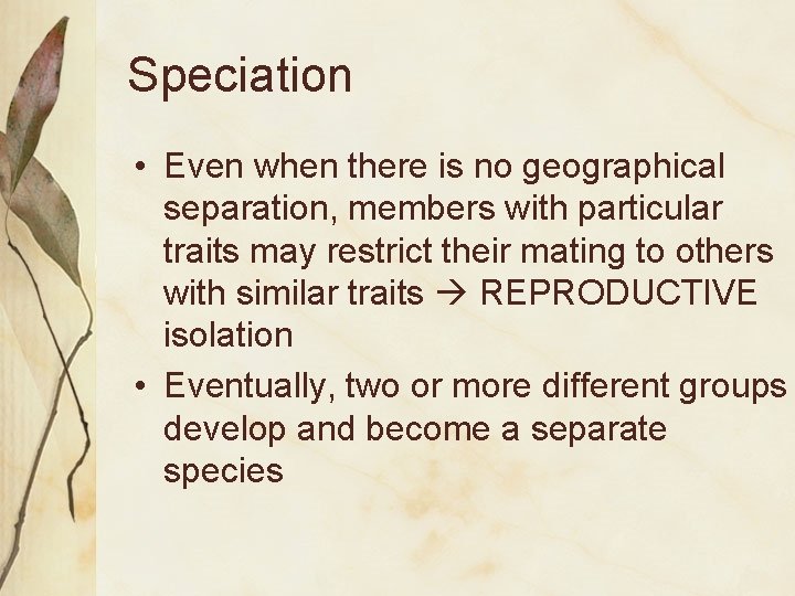 Speciation • Even when there is no geographical separation, members with particular traits may