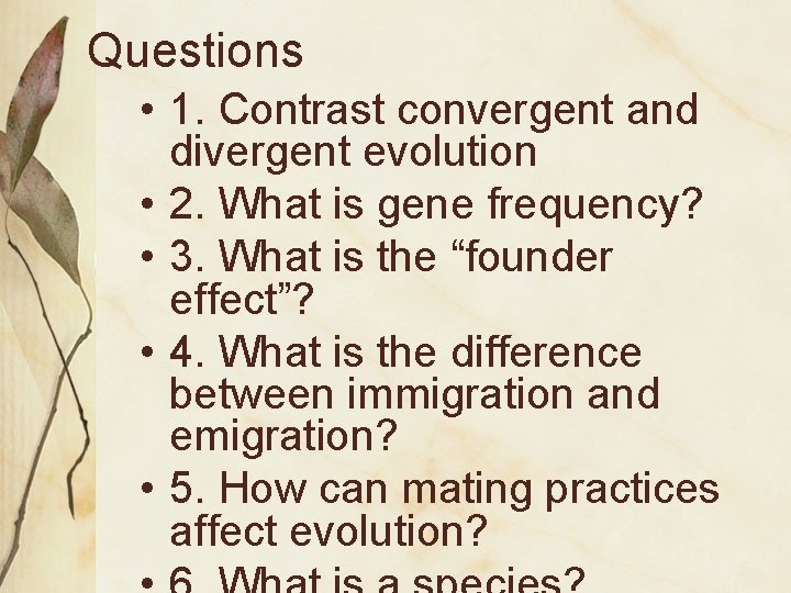 Questions • 1. Contrast convergent and divergent evolution • 2. What is gene frequency?