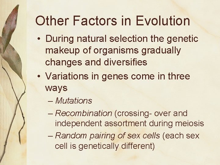 Other Factors in Evolution • During natural selection the genetic makeup of organisms gradually