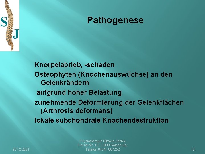 Pathogenese Knorpelabrieb, -schaden Osteophyten (Knochenauswüchse) an den Gelenkrändern aufgrund hoher Belastung zunehmende Deformierung der