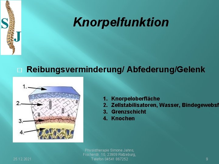 Knorpelfunktion � Reibungsverminderung/ Abfederung/Gelenk 1. 2. 3. 4. 25. 12. 2021 Knorpeloberfläche Zellstabilisatoren, Wasser,