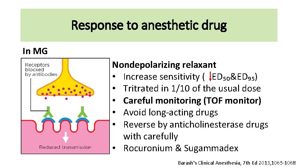 Response to anesthetic drug In MG Nondepolarizing relaxant • Increase sensitivity ( ED₅₀&ED₉₅) •