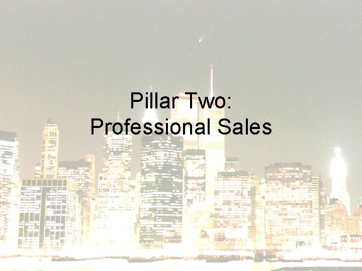 Pillar Two: Professional Sales 