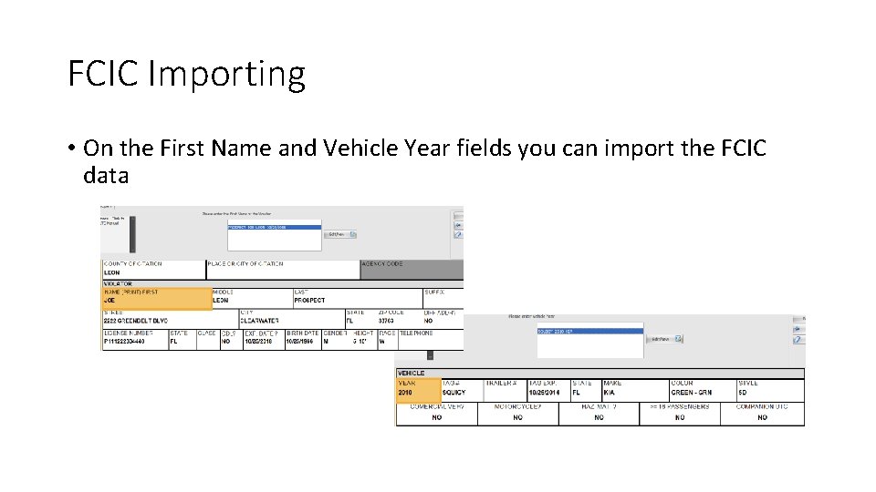 FCIC Importing • On the First Name and Vehicle Year fields you can import FCIC Importing • On the First Name and Vehicle Year fields you can import