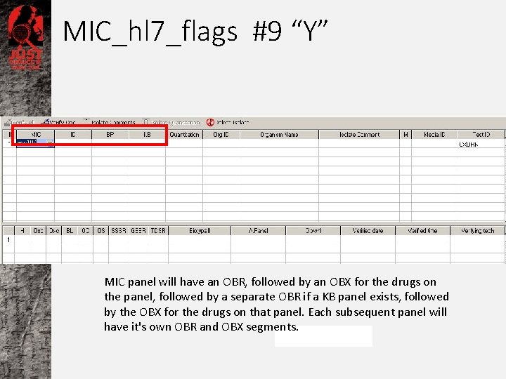 MIC_hl 7_flags #9 “Y” MIC panel will have an OBR, followed by an OBX