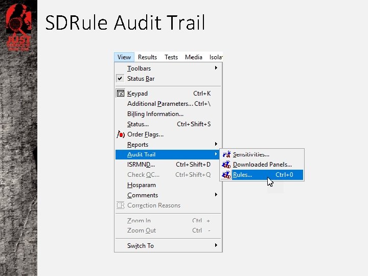 SDRule Audit Trail 