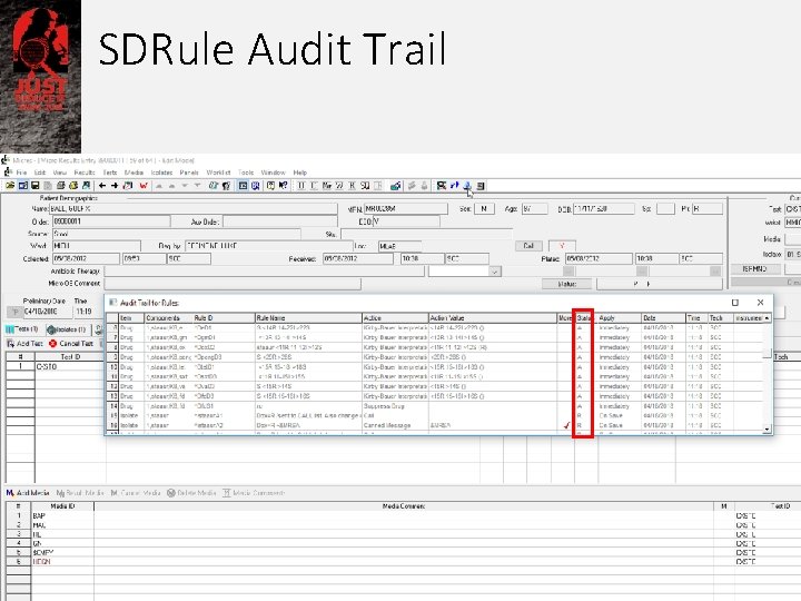 SDRule Audit Trail 