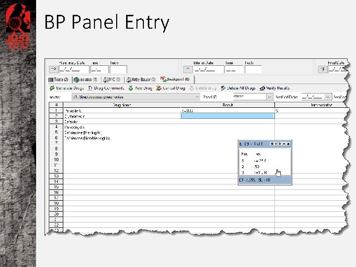 BP Panel Entry 