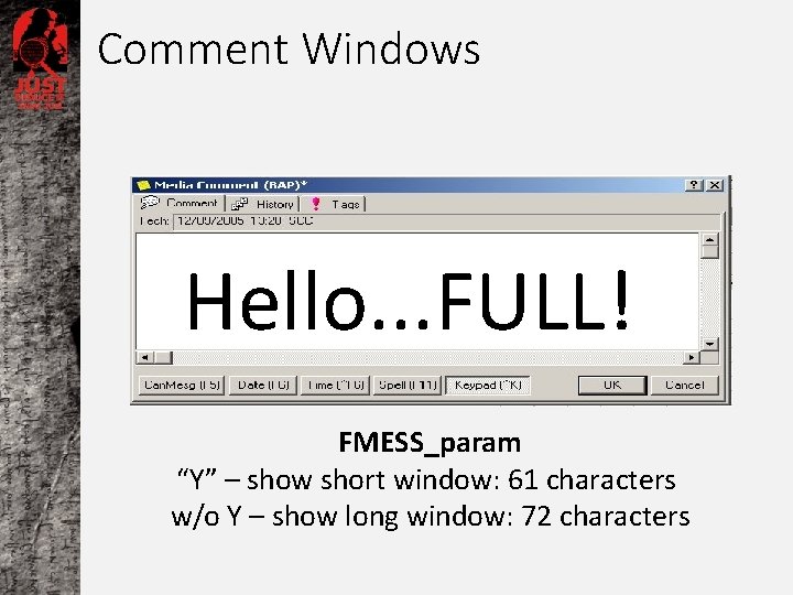 Comment Windows Hello. . . FULL! FMESS_param “Y” – show short window: 61 characters