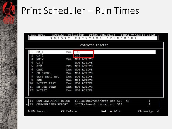 Print Scheduler – Run Times 