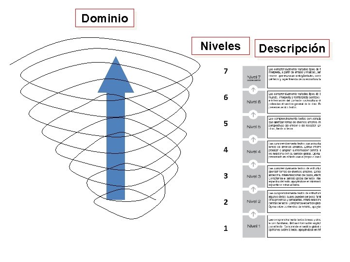 Dominio Niveles 7 6 5 4 3 2 1 Descripción 