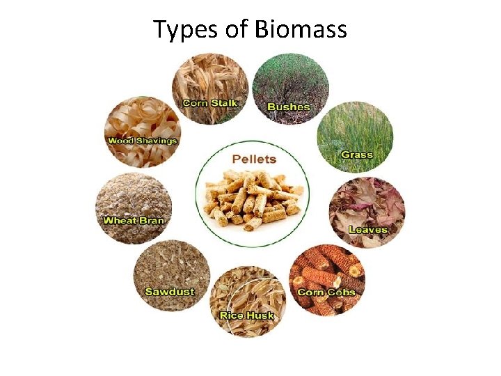 Types of Biomass 