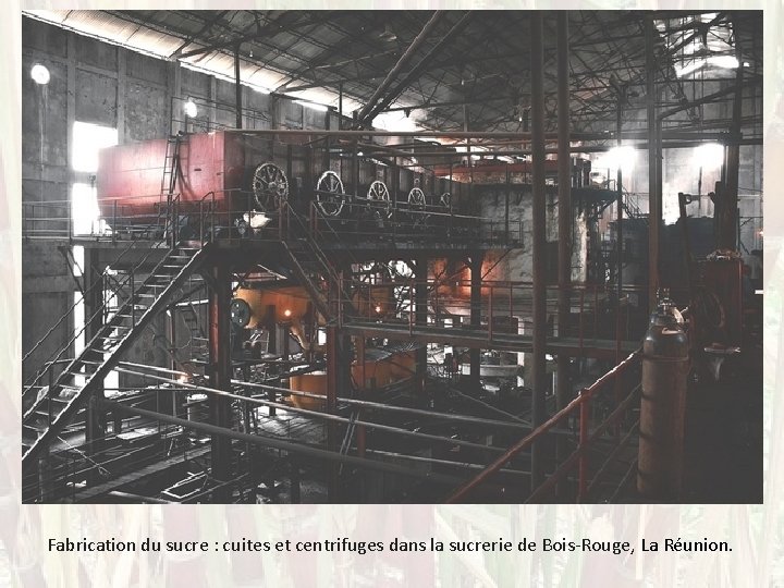 Fabrication du sucre : cuites et centrifuges dans la sucrerie de Bois-Rouge, La Réunion.