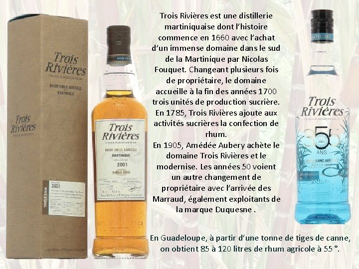 Trois Rivières est une distillerie martiniquaise dont l’histoire commence en 1660 avec l’achat d’un