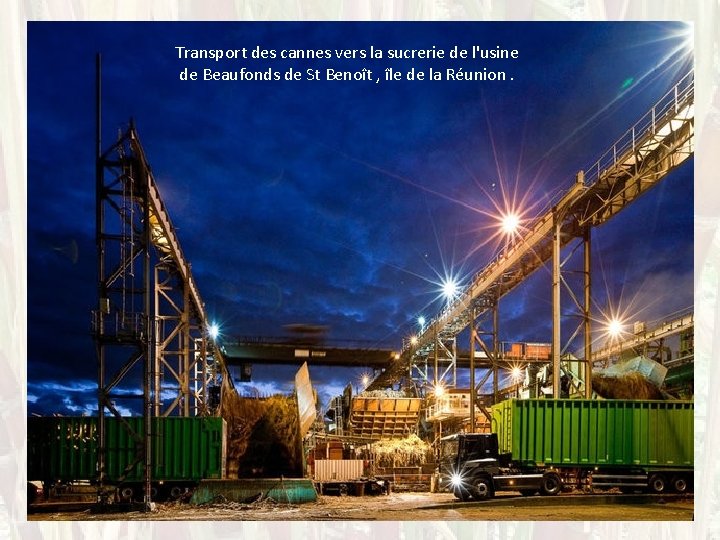 Transport des cannes vers la sucrerie de l'usine de Beaufonds de St Benoît ,