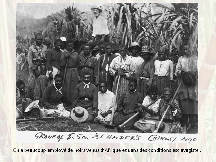 On a beaucoup employé de noirs venus d’Afrique et dans des conditions esclavagiste. 