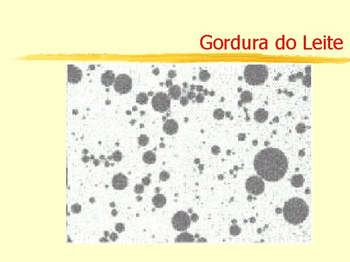 Gordura do Leite 