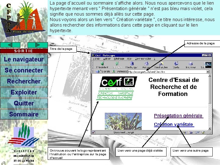 La page d’accueil ou sommaire s’affiche alors. Nous nous apercevons que le lien hypertexte