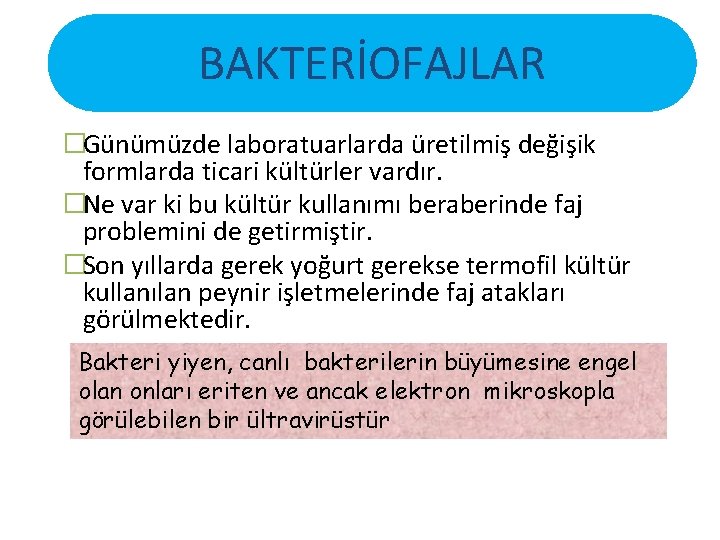 BAKTERİOFAJLAR �Günümüzde laboratuarlarda üretilmiş değişik formlarda ticari kültürler vardır. �Ne var ki bu kültür