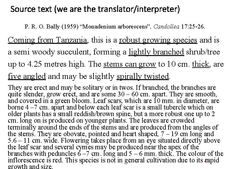 Source text (we are the translator/interpreter) P. R. O. Bally (1959) “Monadenium arborescens”. Candollea