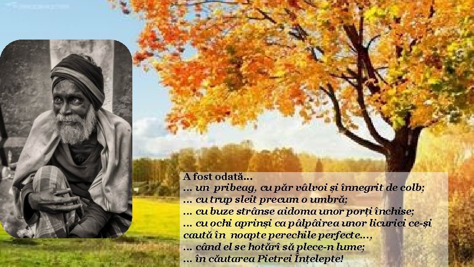 A fost odată. . . un pribeag, cu păr vâlvoi și înnegrit de colb; A fost odată. . . un pribeag, cu păr vâlvoi și înnegrit de colb;