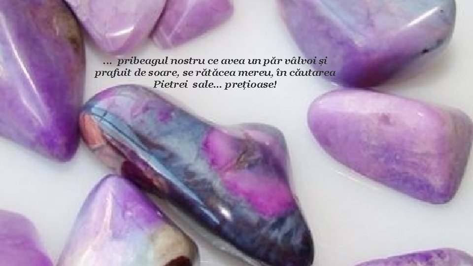 . . . pribeagul nostru ce avea un păr vâlvoi și prafuit de soare, . . . pribeagul nostru ce avea un păr vâlvoi și prafuit de soare,