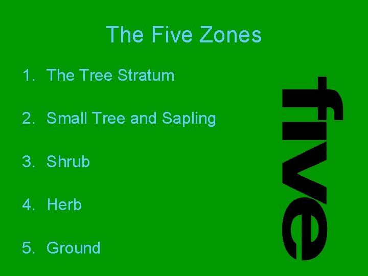 The Five Zones 1. The Tree Stratum 2. Small Tree and Sapling 3. Shrub