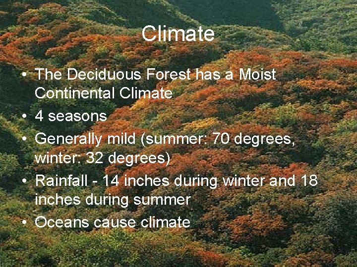 Climate • The Deciduous Forest has a Moist Continental Climate • 4 seasons •