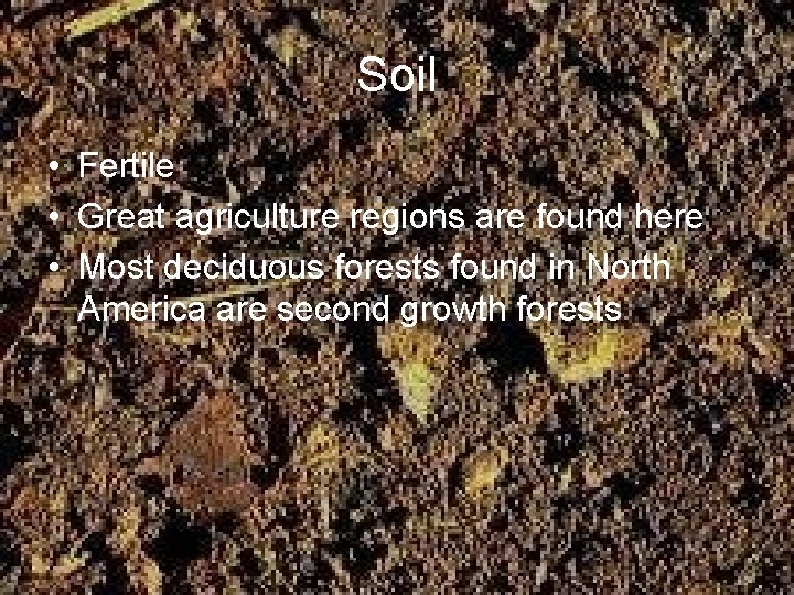 Soil • Fertile • Great agriculture regions are found here • Most deciduous forests