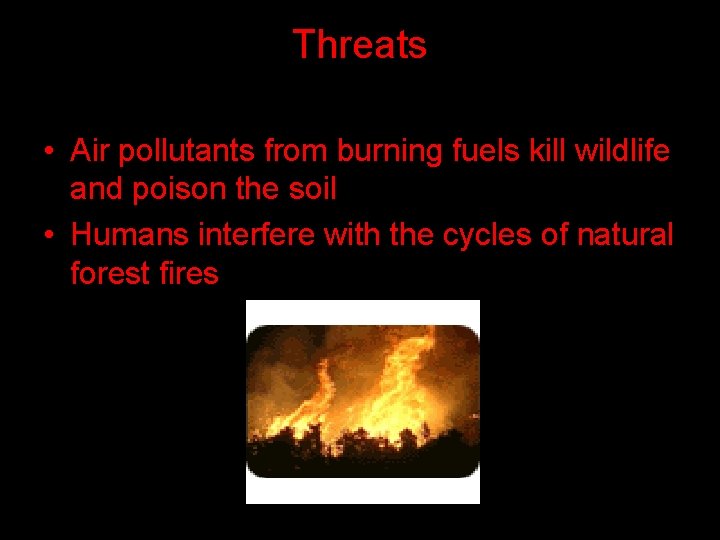 Threats • Air pollutants from burning fuels kill wildlife and poison the soil •